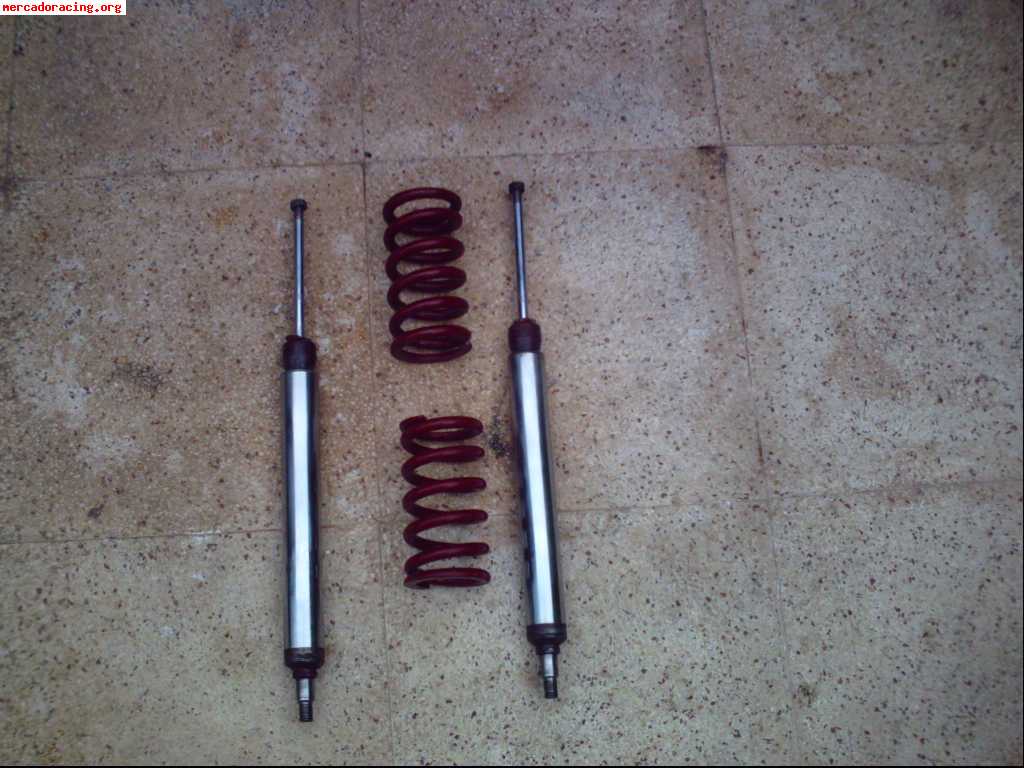 Vendo suspension clio cup