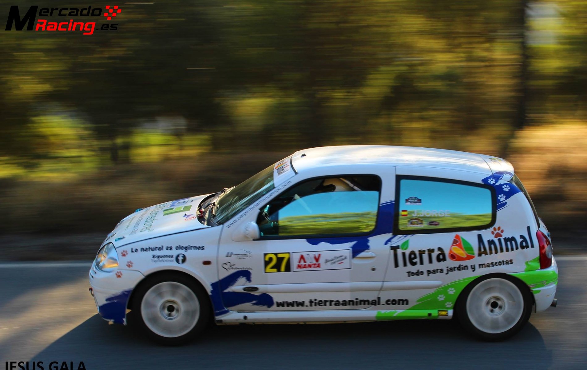 Renault clio sport grupo n
