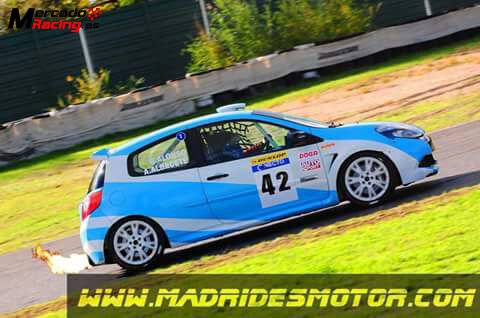 Clio iii cup
