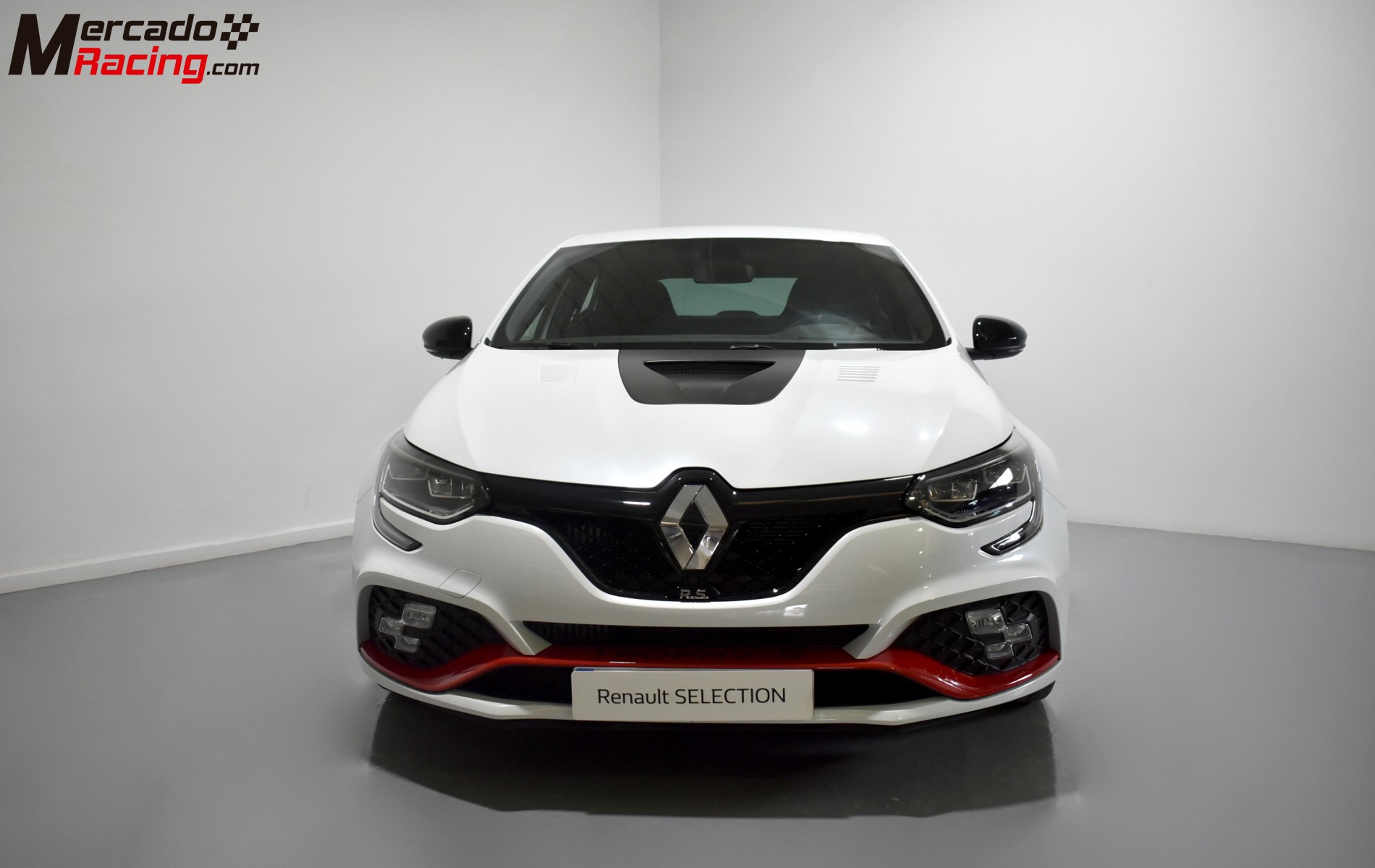 Renault megane trophy-r 1.8tce gpf 300cv