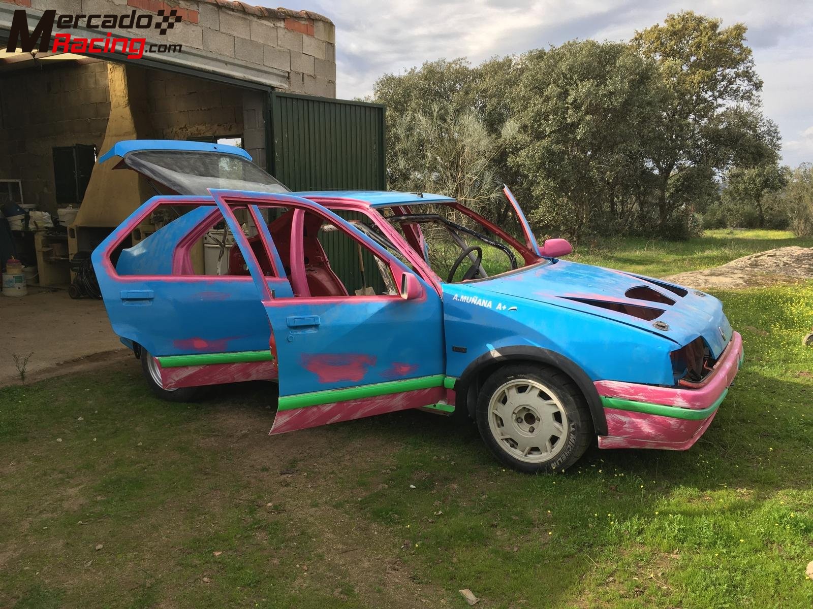 Renault 19 rallye