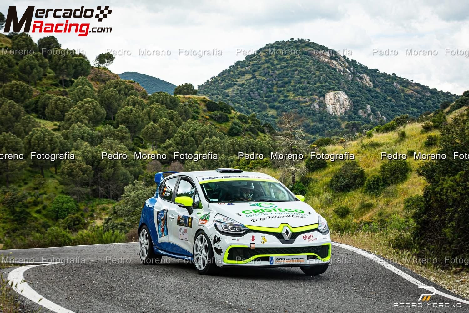Renault clio iv cup