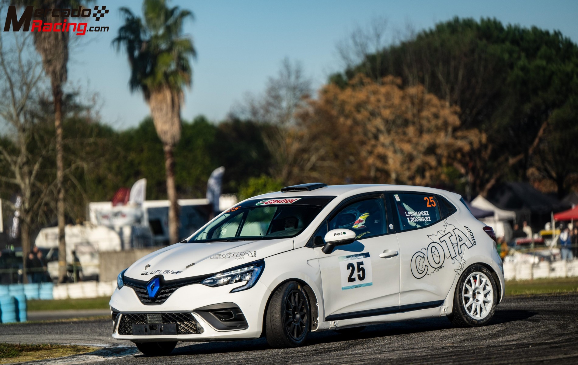 Renault clio rally 5 