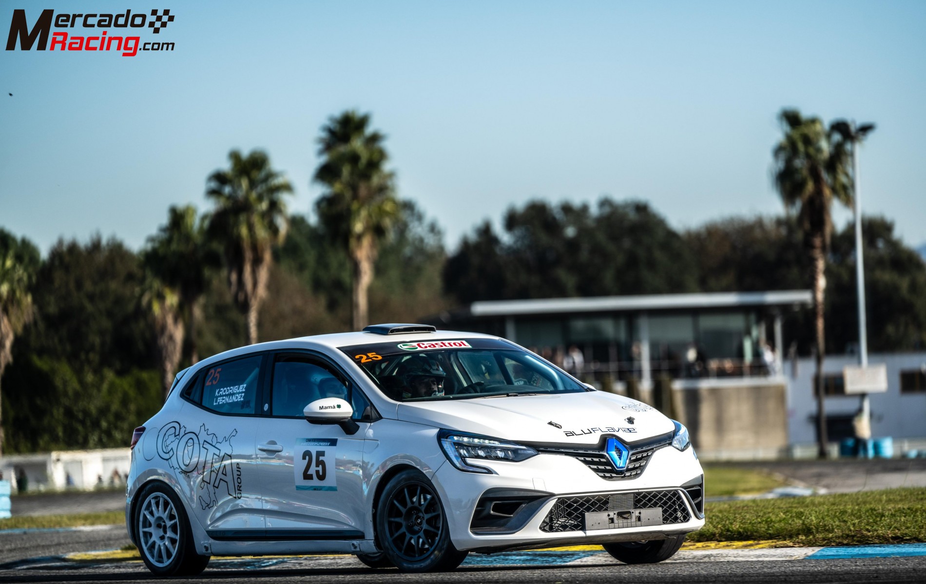 Renault clio rally 5 