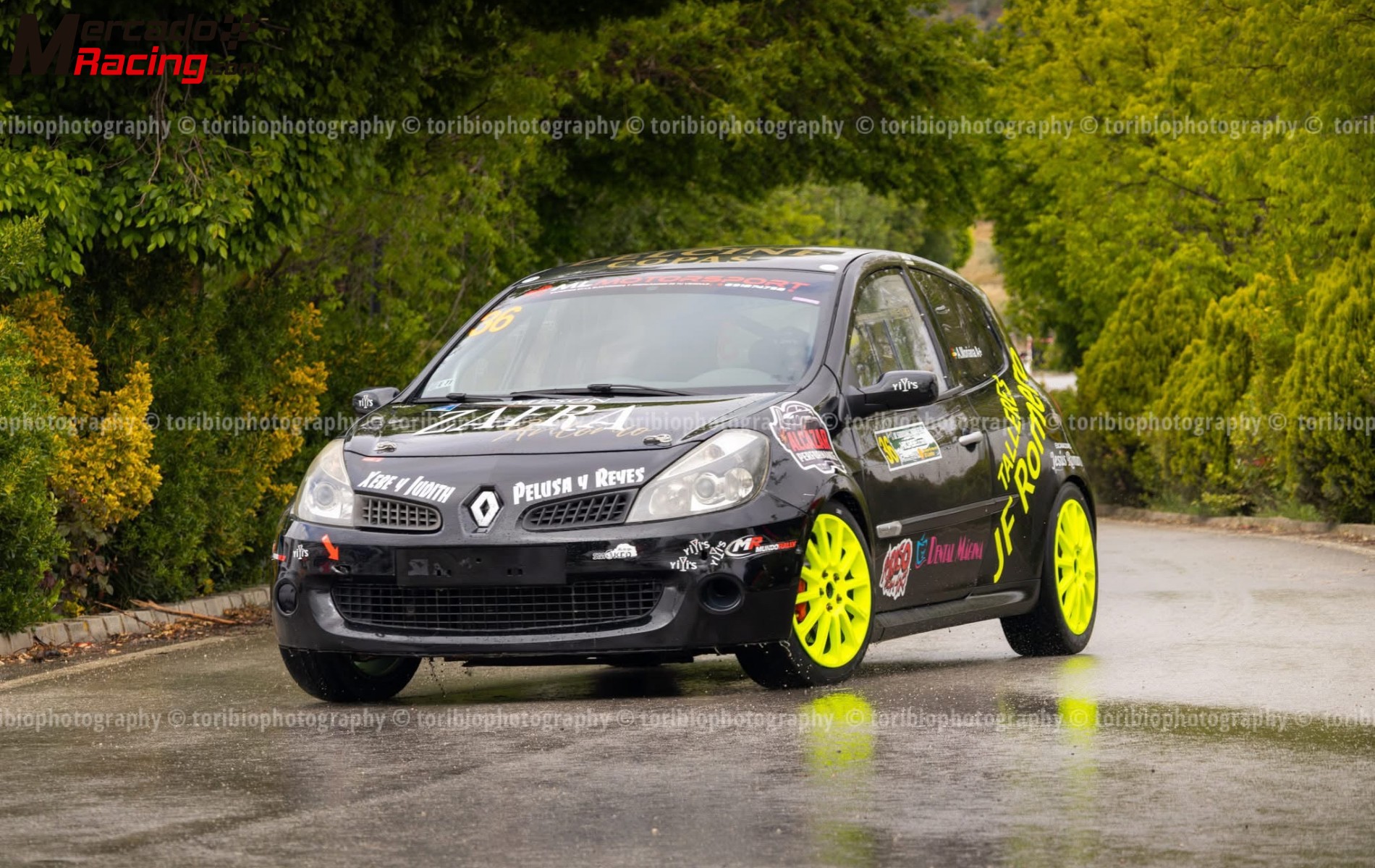 Clio 197 rs 
