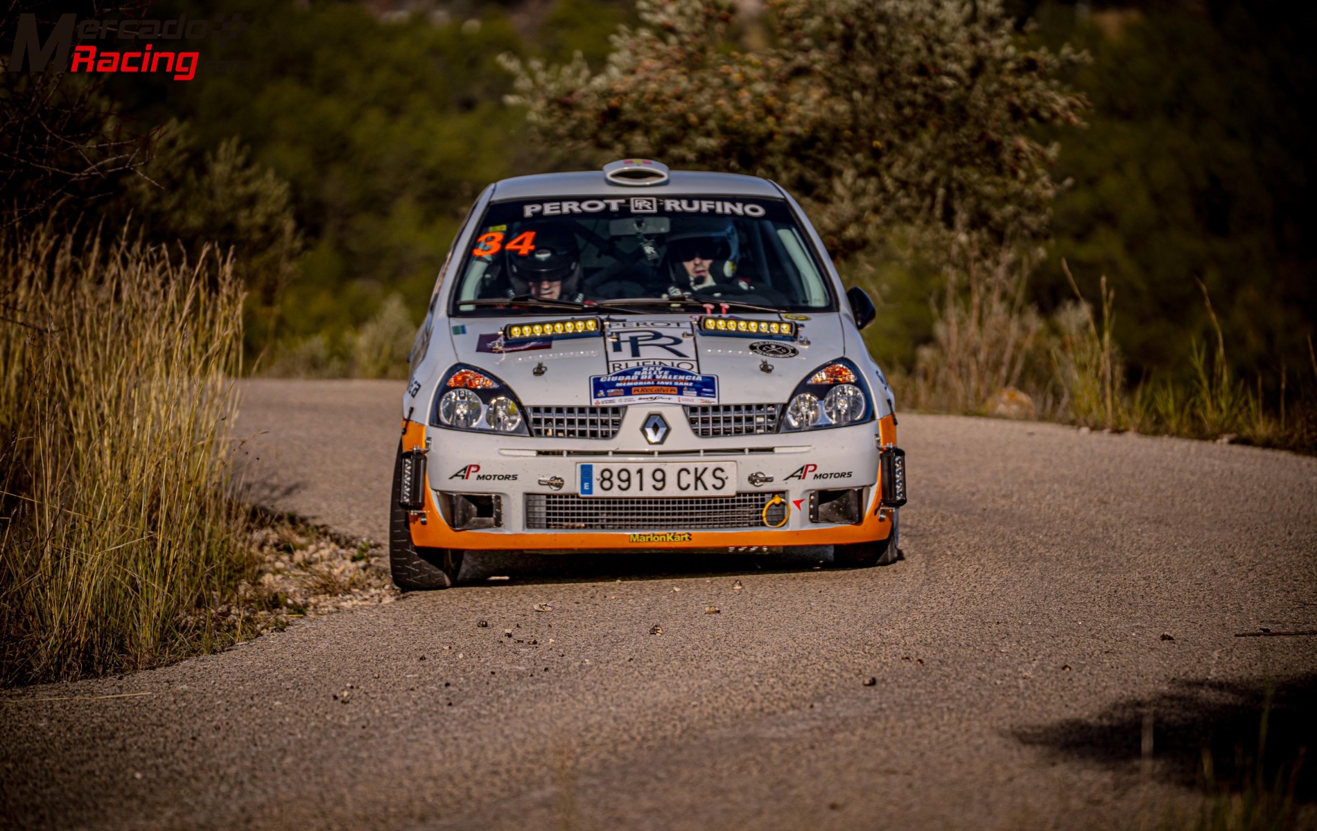 Renault clio 2 de rallys 