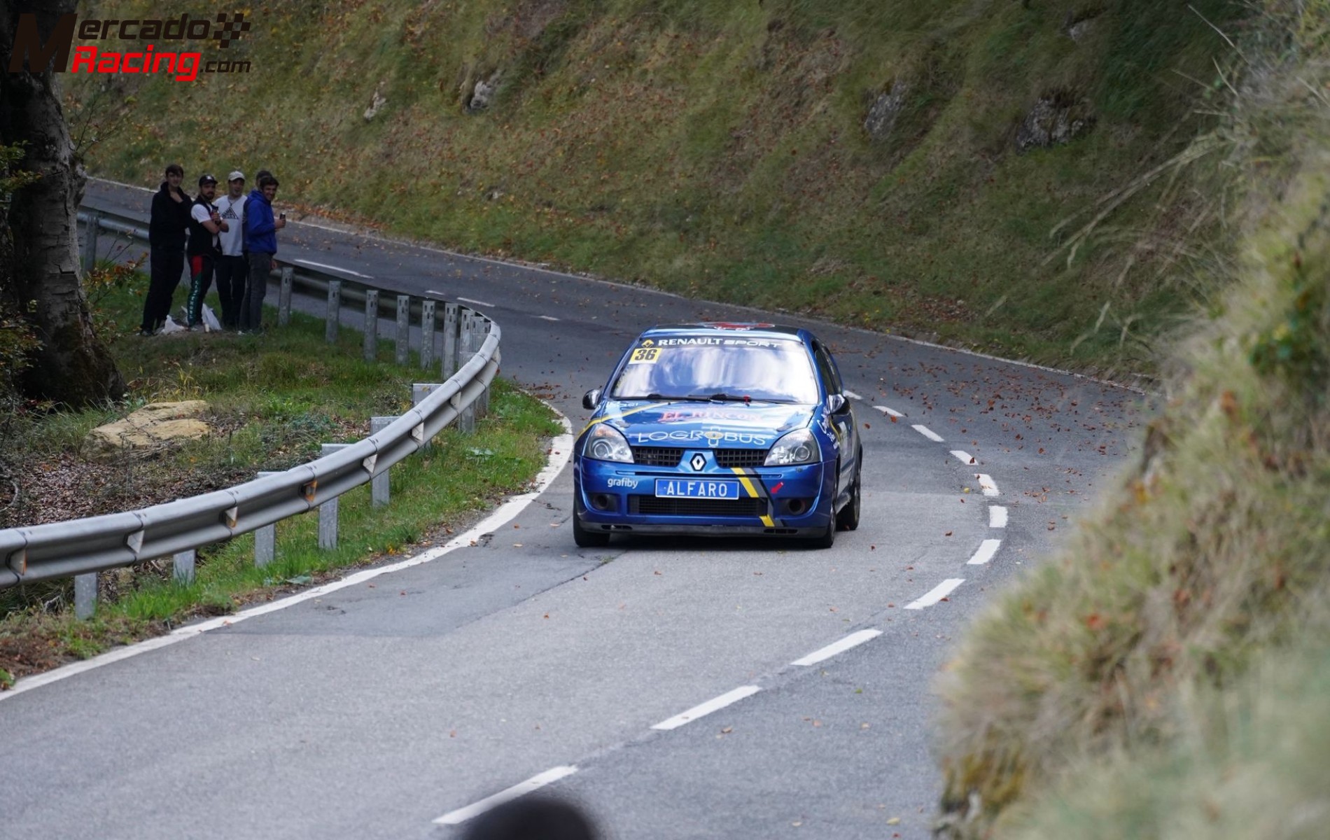 Renault clio crabots
