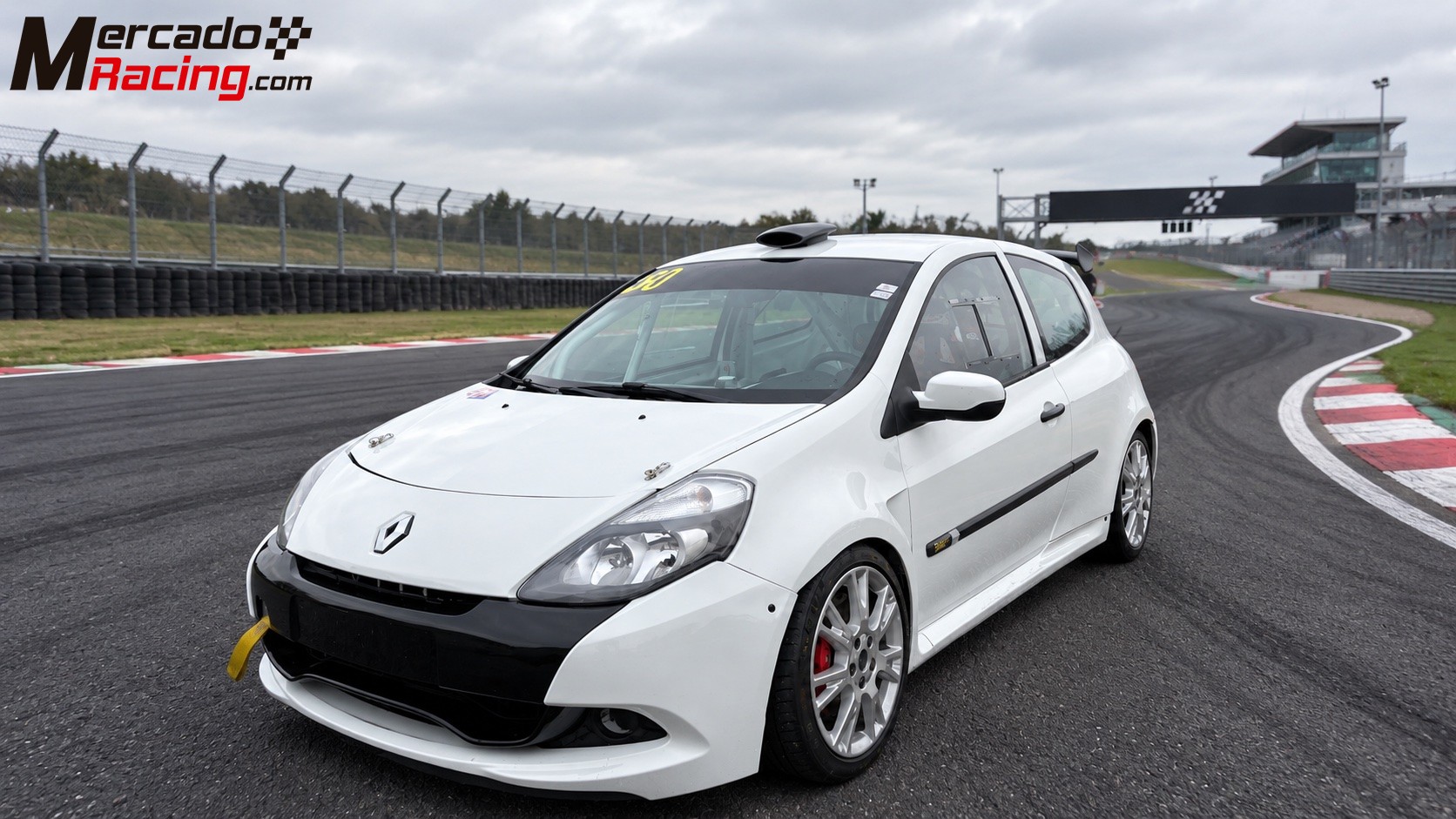 Clio 3 cup 