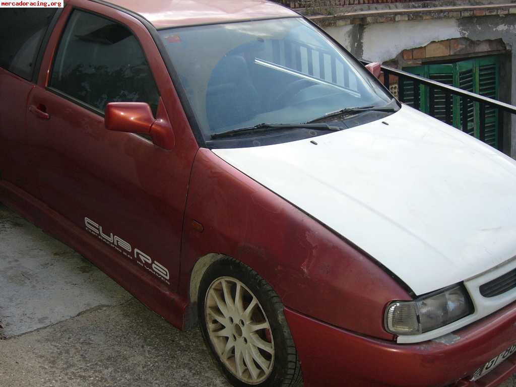 Seat ibiza cupra 2