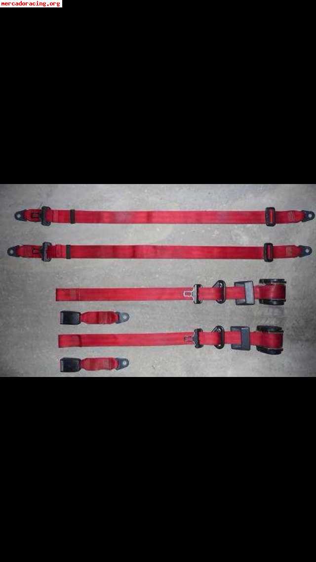 Cinturones cintos  rojos