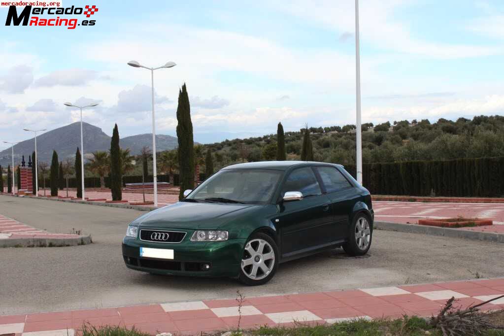 Audi s3 8l 