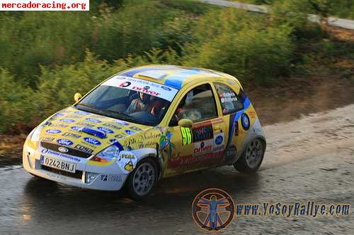 Ford ka rally