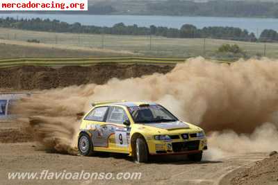 Seat ibiza 4x4 wrc es-flavio alonso