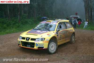 Seat ibiza 4x4 wrc es-flavio alonso