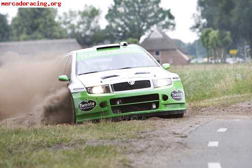 Skoda fabia wrc 