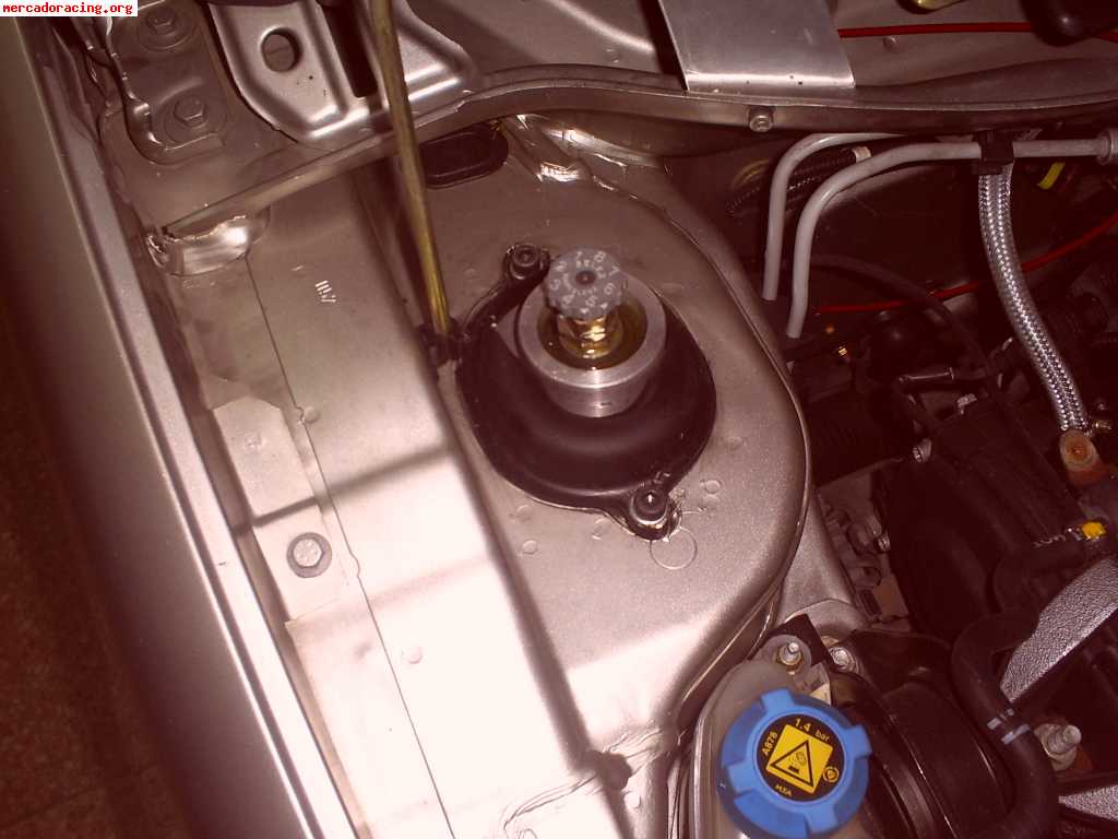 Anfitec vende fiat punto jtd