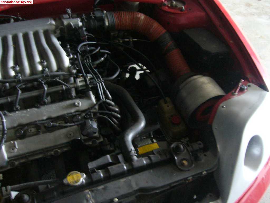 Hyundai coupe de la copa de circuitos