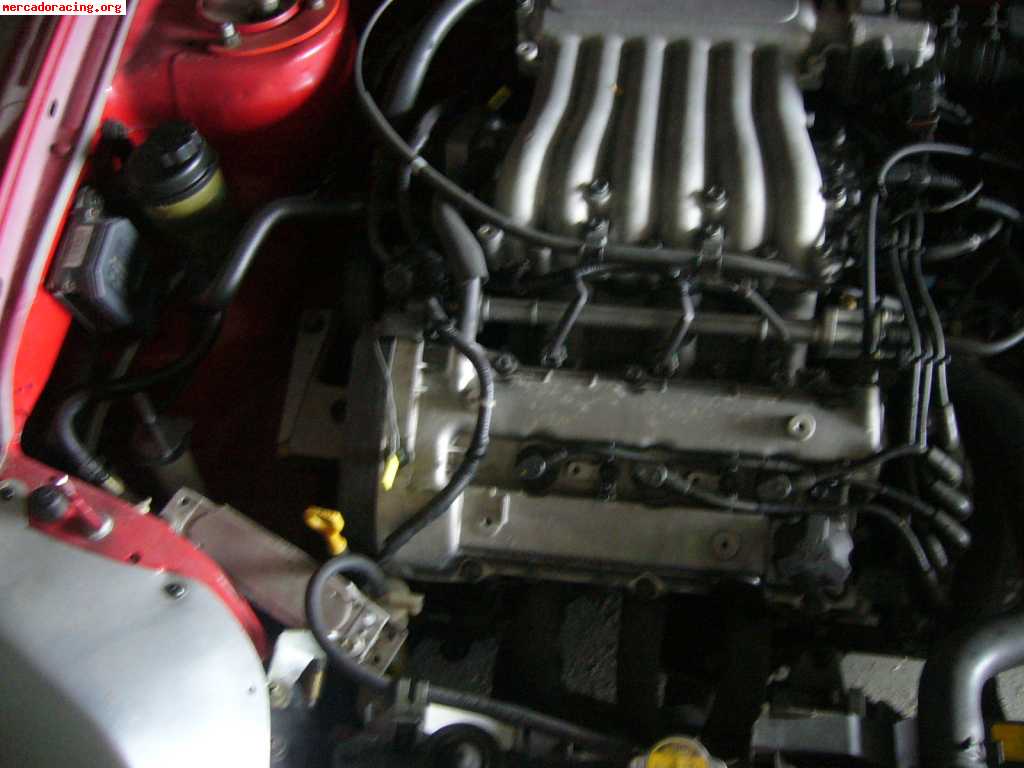 Hyundai coupe de la copa de circuitos