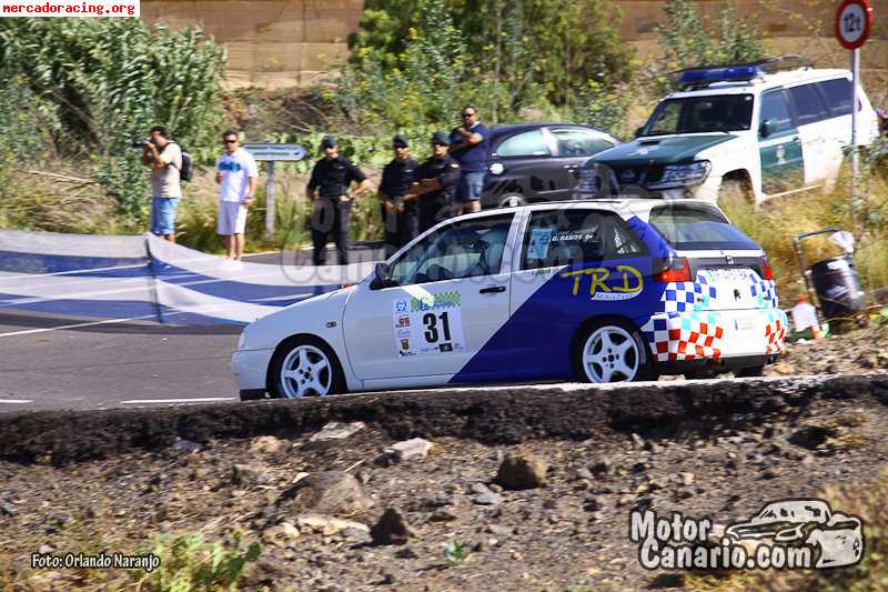 Seat ibiza cupra rallys