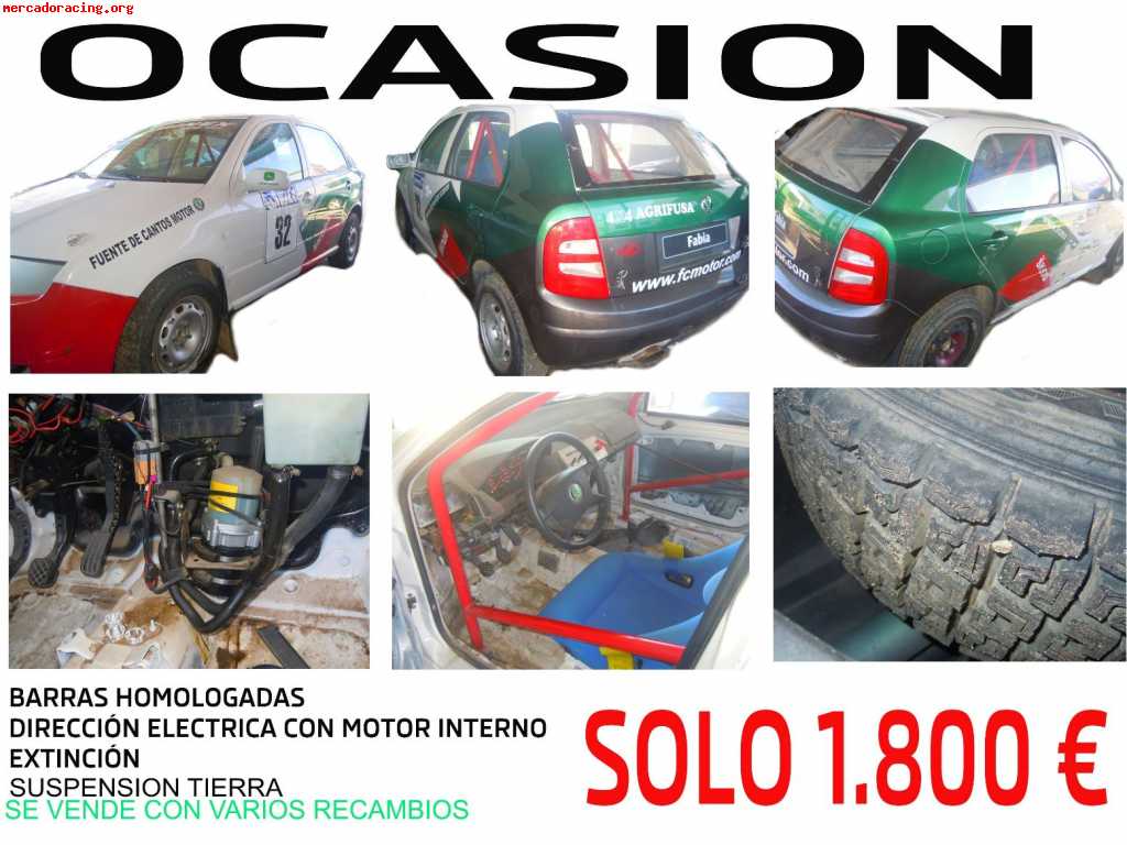 Skoda fabia autocross