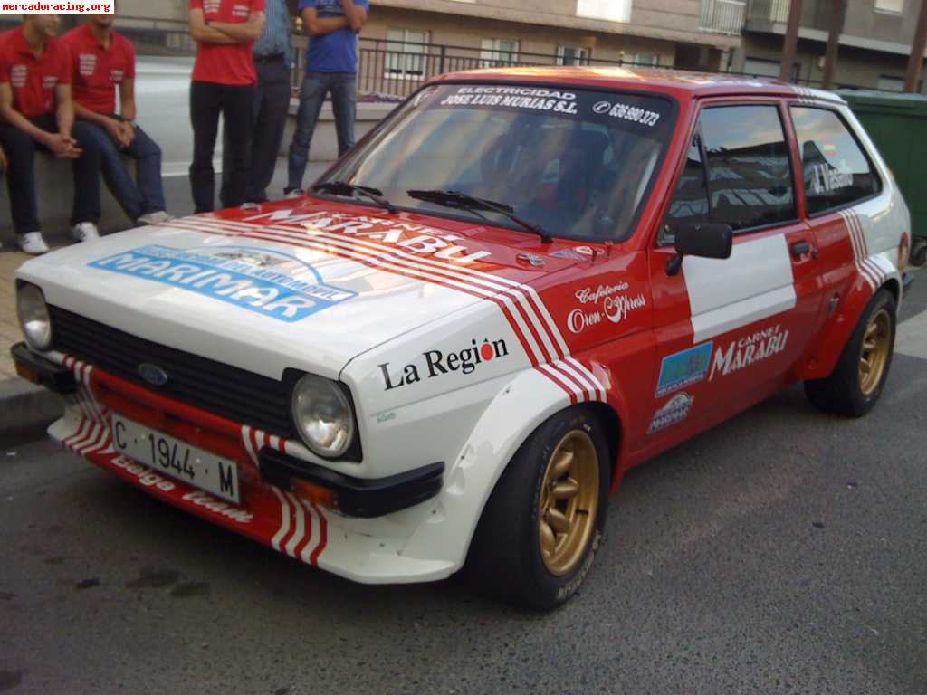 Ford fiesta grupo 2