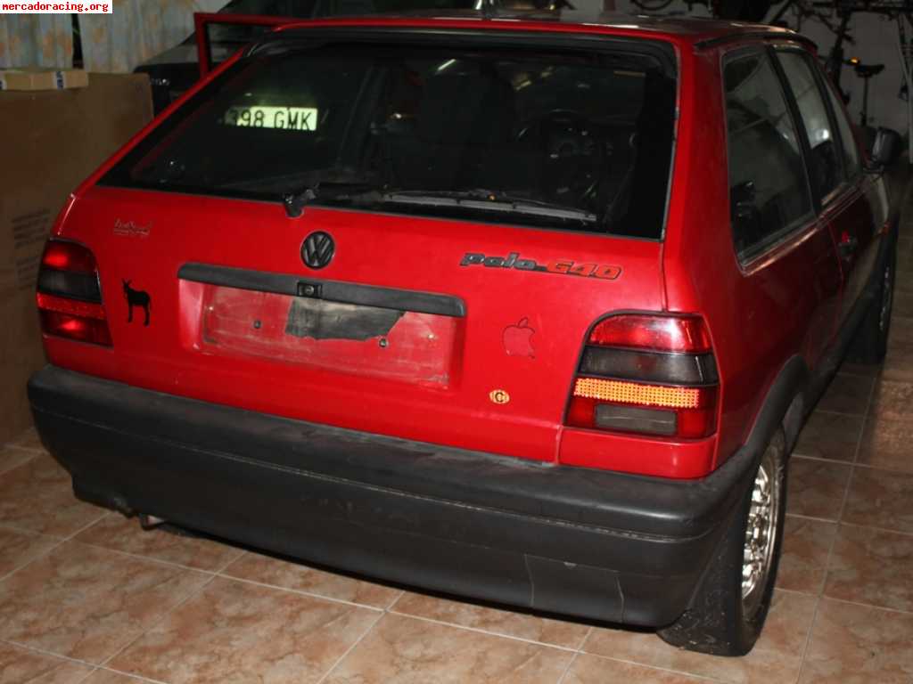 Polo g40 de tandas