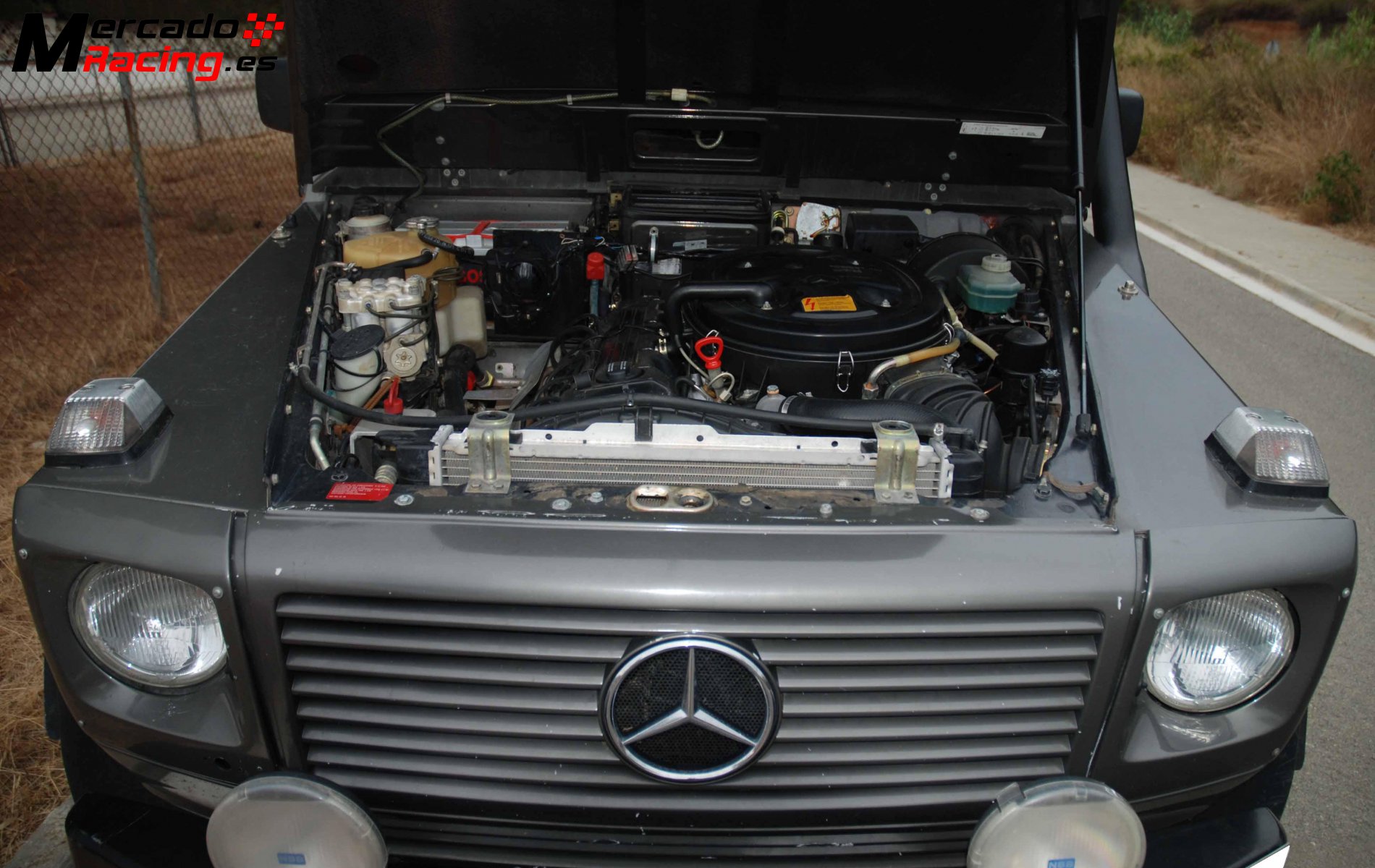Mercedes ge 300 1990 (homologación fia)