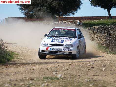 Venta de seat ibiza cupra de tierra