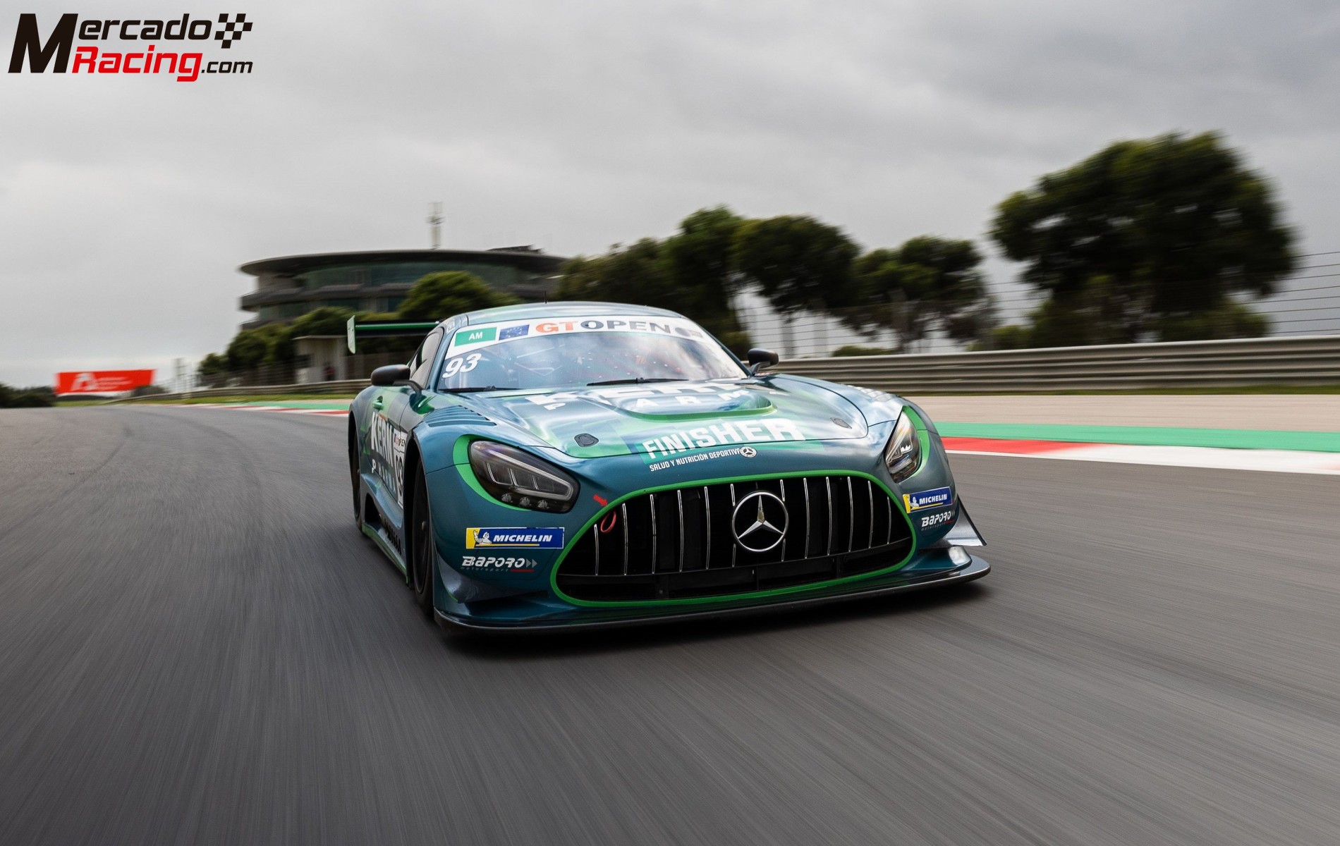 Mercedes amg gt3 evo