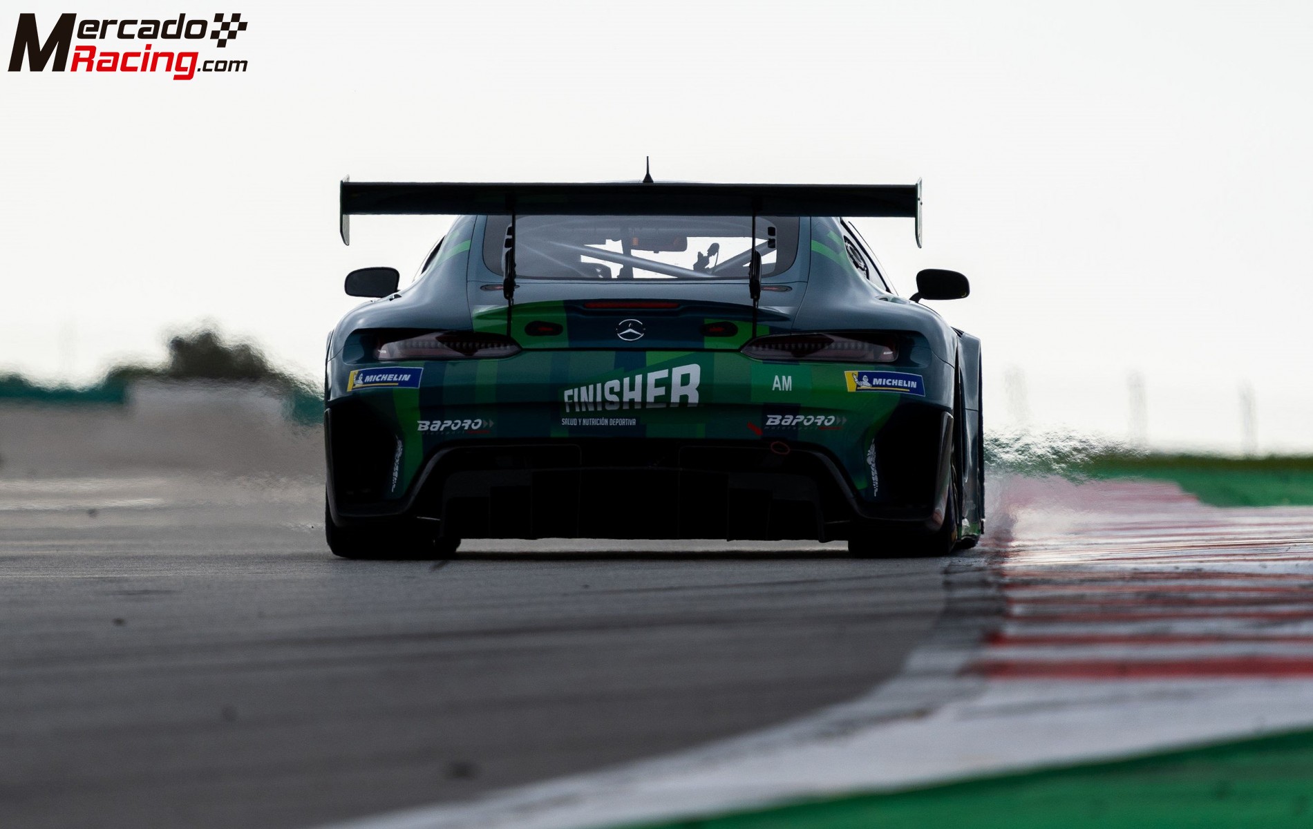 Mercedes amg gt3 evo