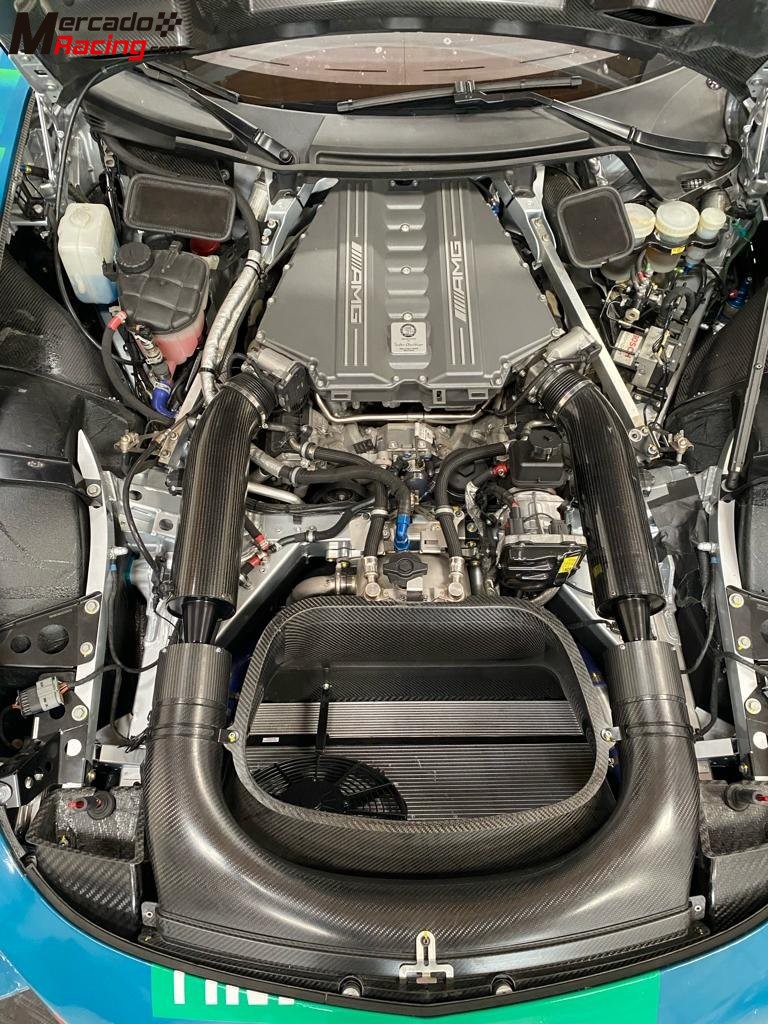 Mercedes amg gt3 evo