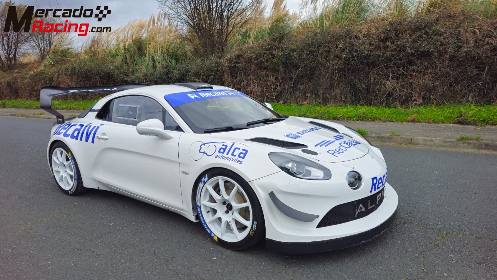 Alpine a110 r gt + campeón de españa