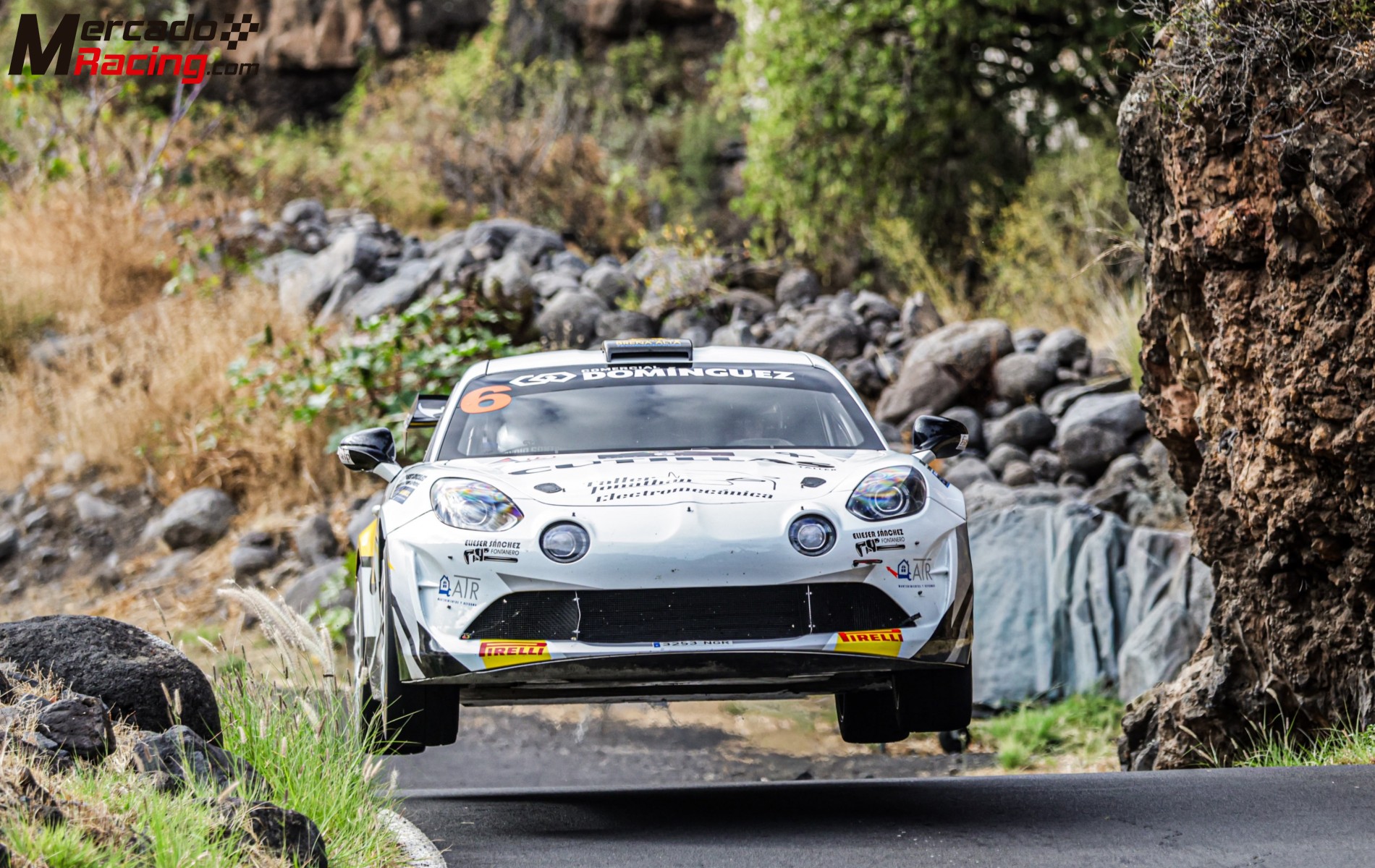 Alpine rg-t
