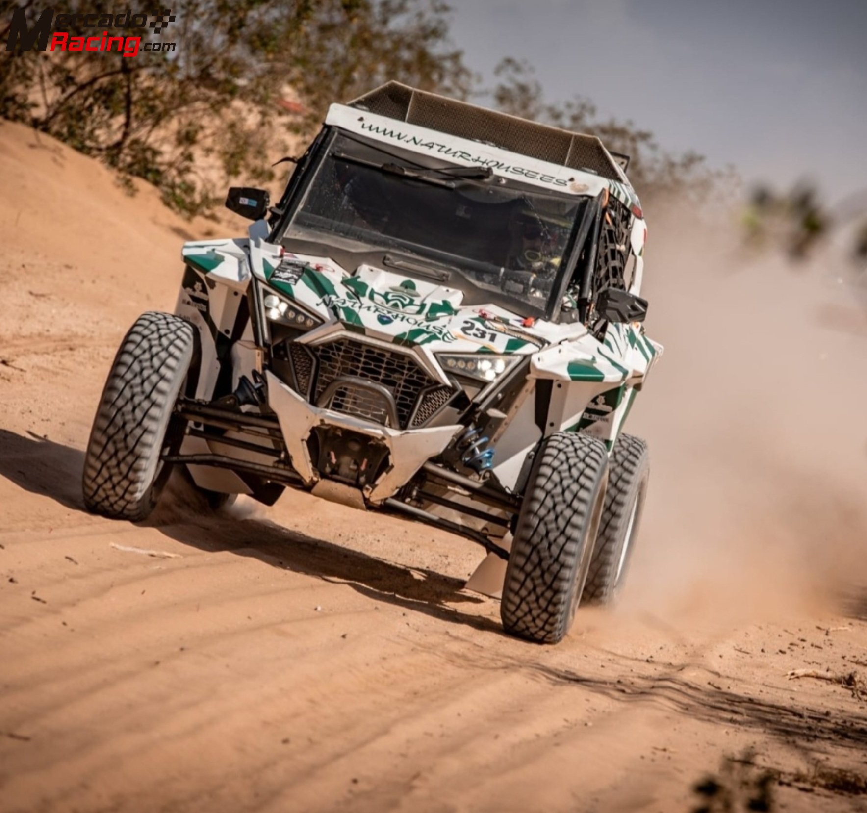 Rzr fia. nuevo precio 