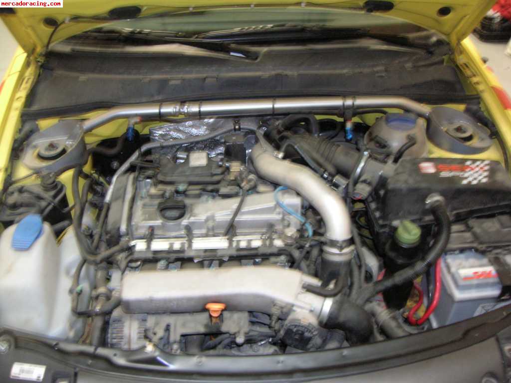 Vendo ibiza cupra