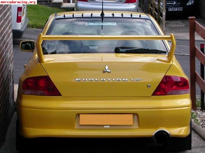 Vortex generator (mitsubishi evo 7 - 8 - 9)