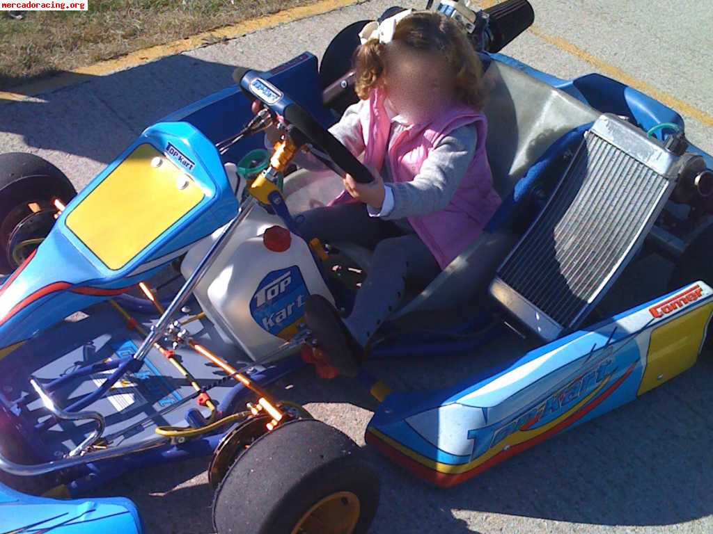 Kart top kart motor vampire 250cc