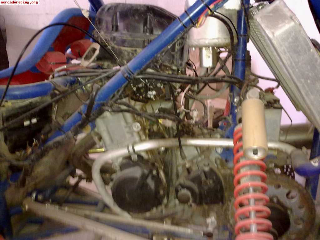 Semog y remolqe 4500 €