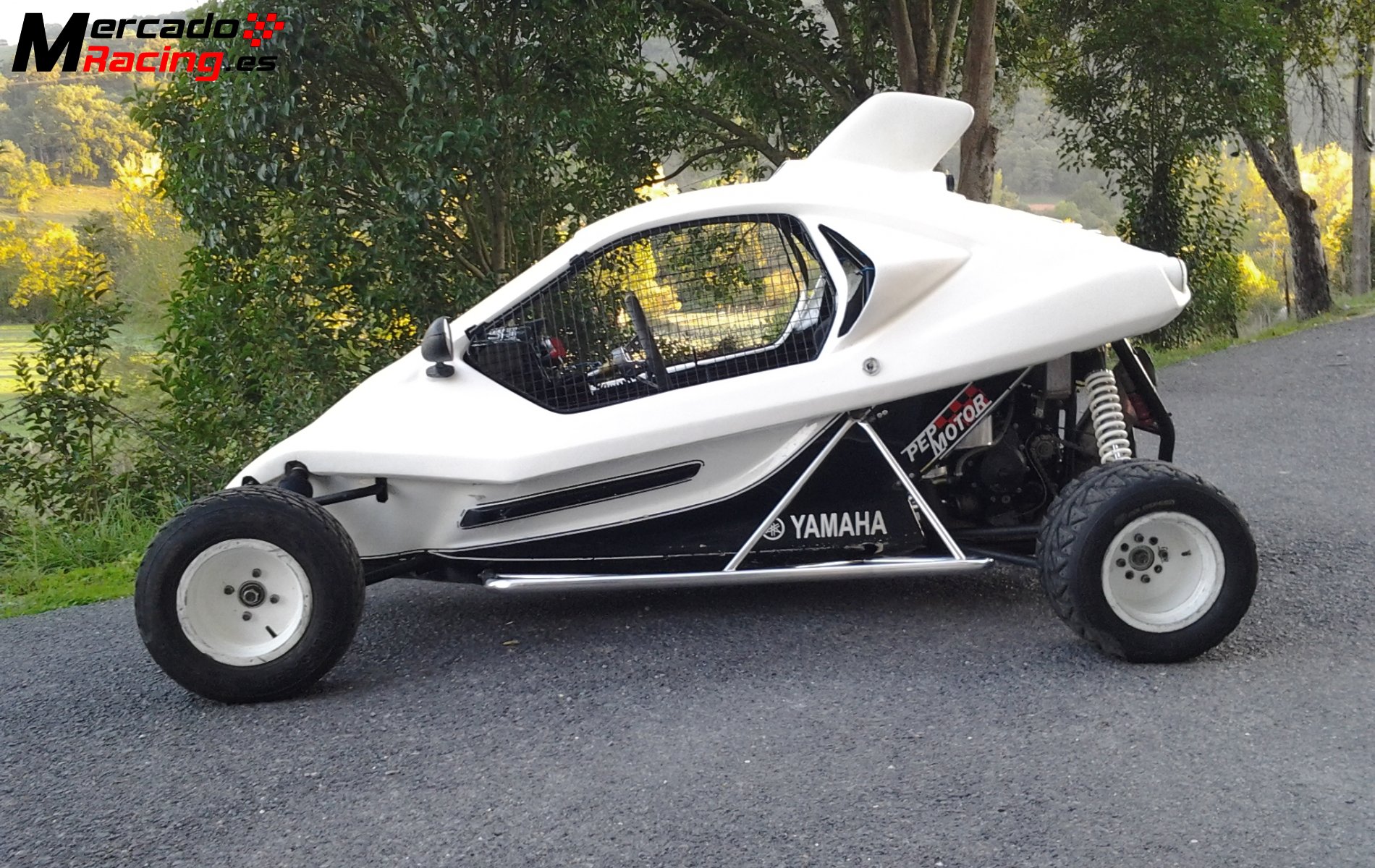 Speedcar xtrem 2013