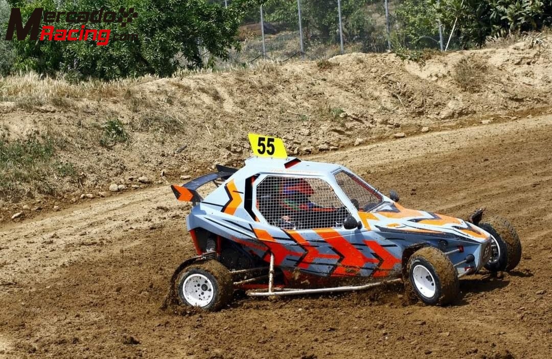 Car cross sx01 año 2021