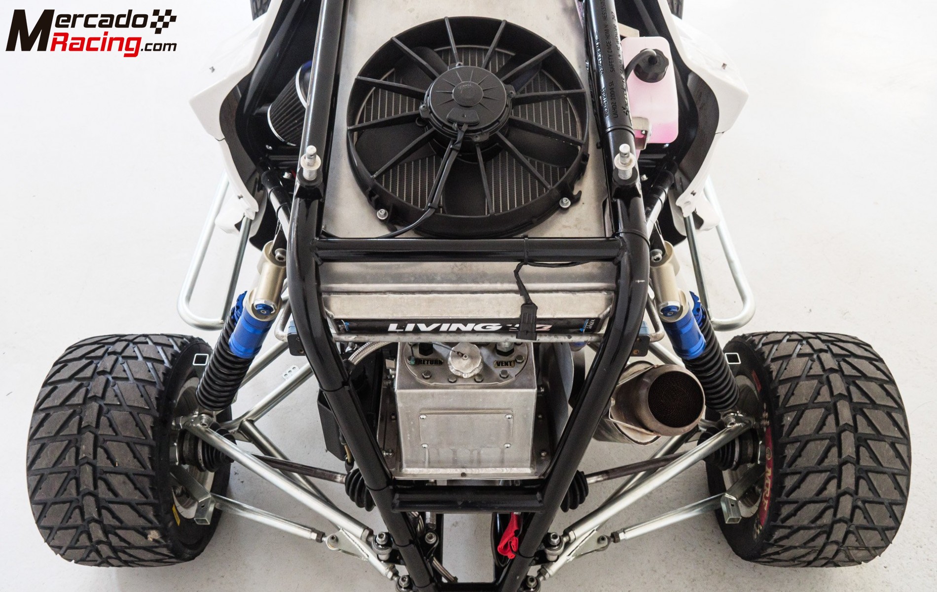 Speed car wonder