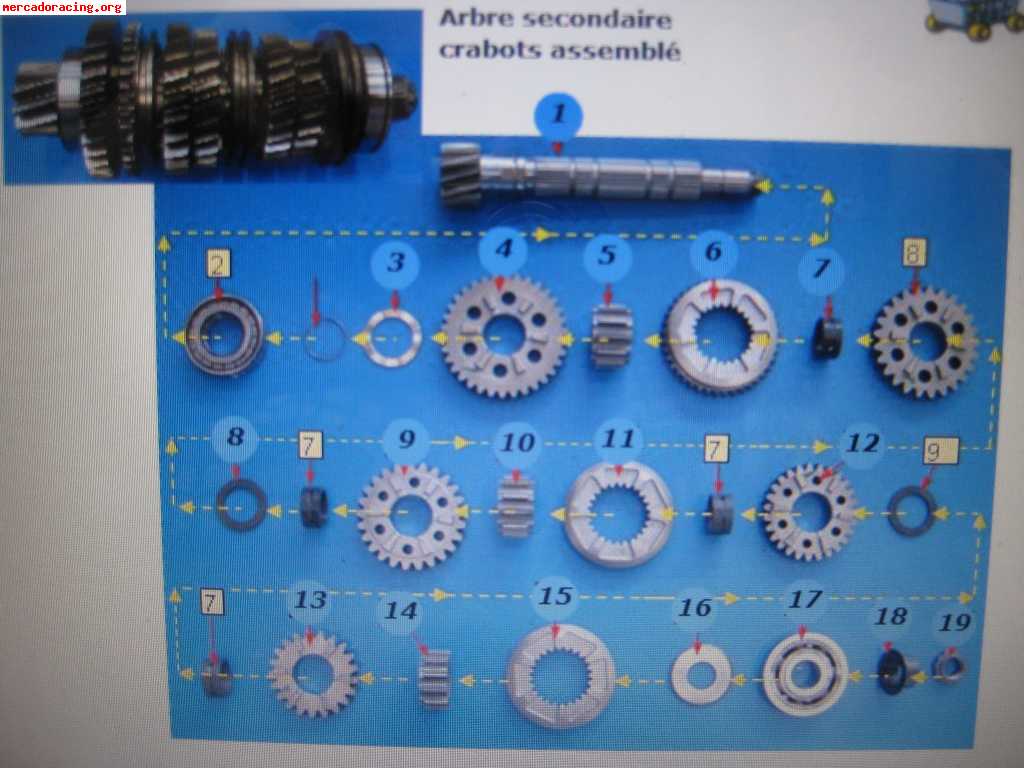 Vendo piñoneria completa b4 crabots 5v con 15km