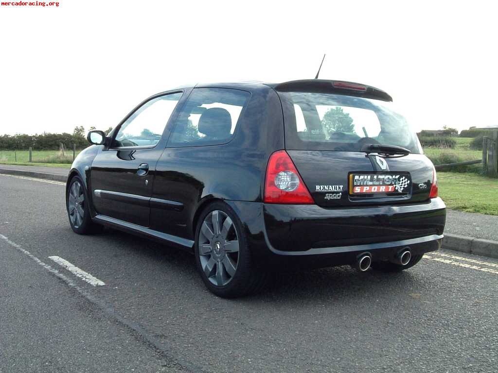 Catalizador clio sport 182