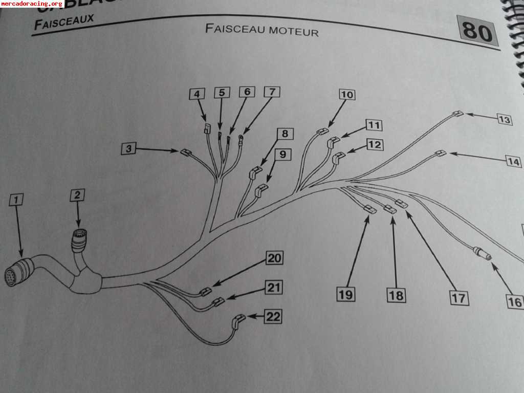 Electronica programable, pantalla y cableado magneti marelli