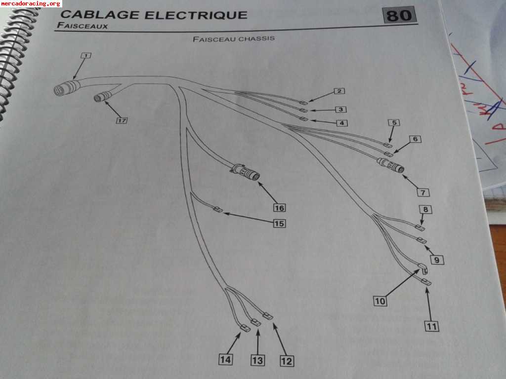 Electronica programable, pantalla y cableado magneti marelli