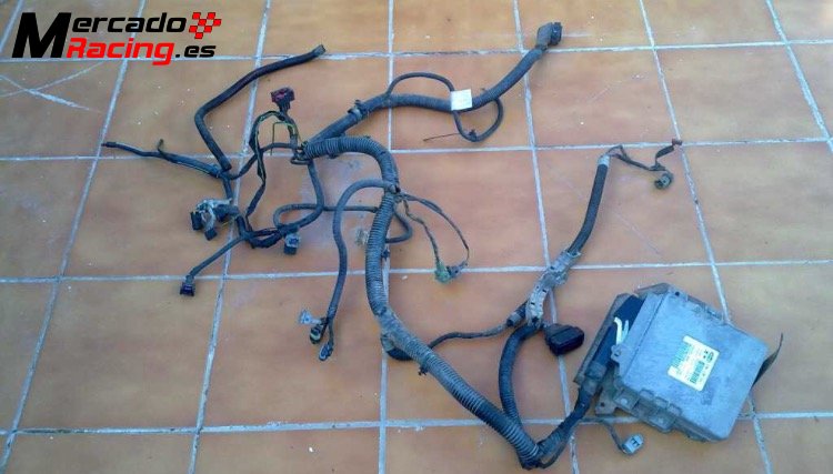 Instalacion magnetti marelly 106 gti saxo 16 un pin