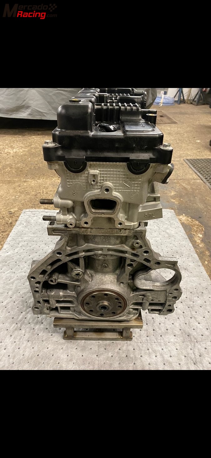 Suzuki 2.0 maxi engine