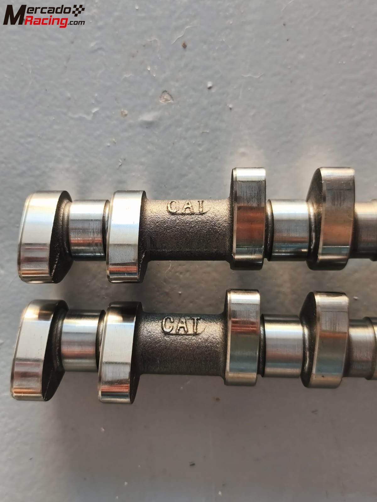 Catcams psa tu5jp4  ( c2 / 206 )