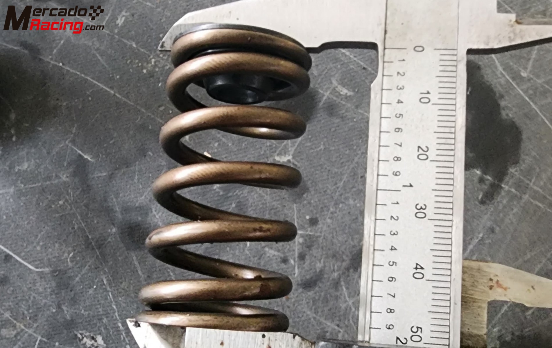 Muelles y cazoletas de culata reforzados catcams saxo vts 106 gti nfx