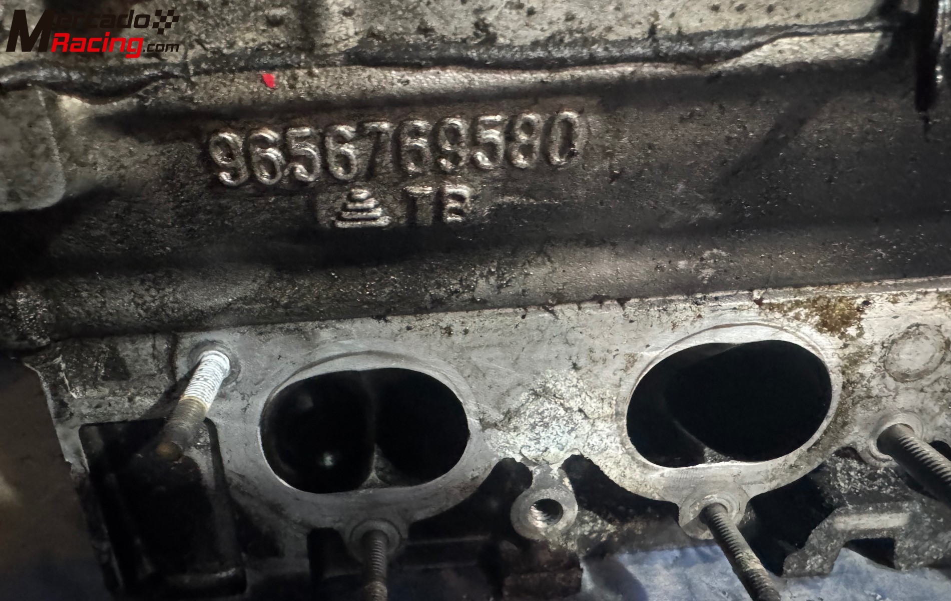 Culata con árboles 206 desafío nacional